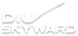 DIU Skyward Logo